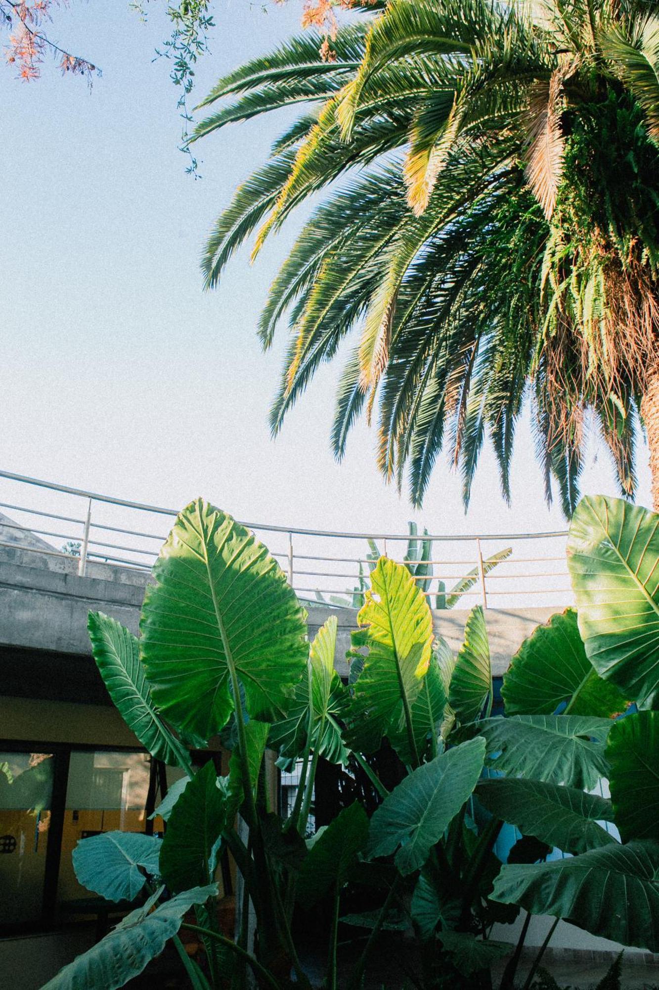 Howard Johnson Hotel Yerba Buena Dış mekan fotoğraf